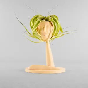 Medusa Air Head Planter