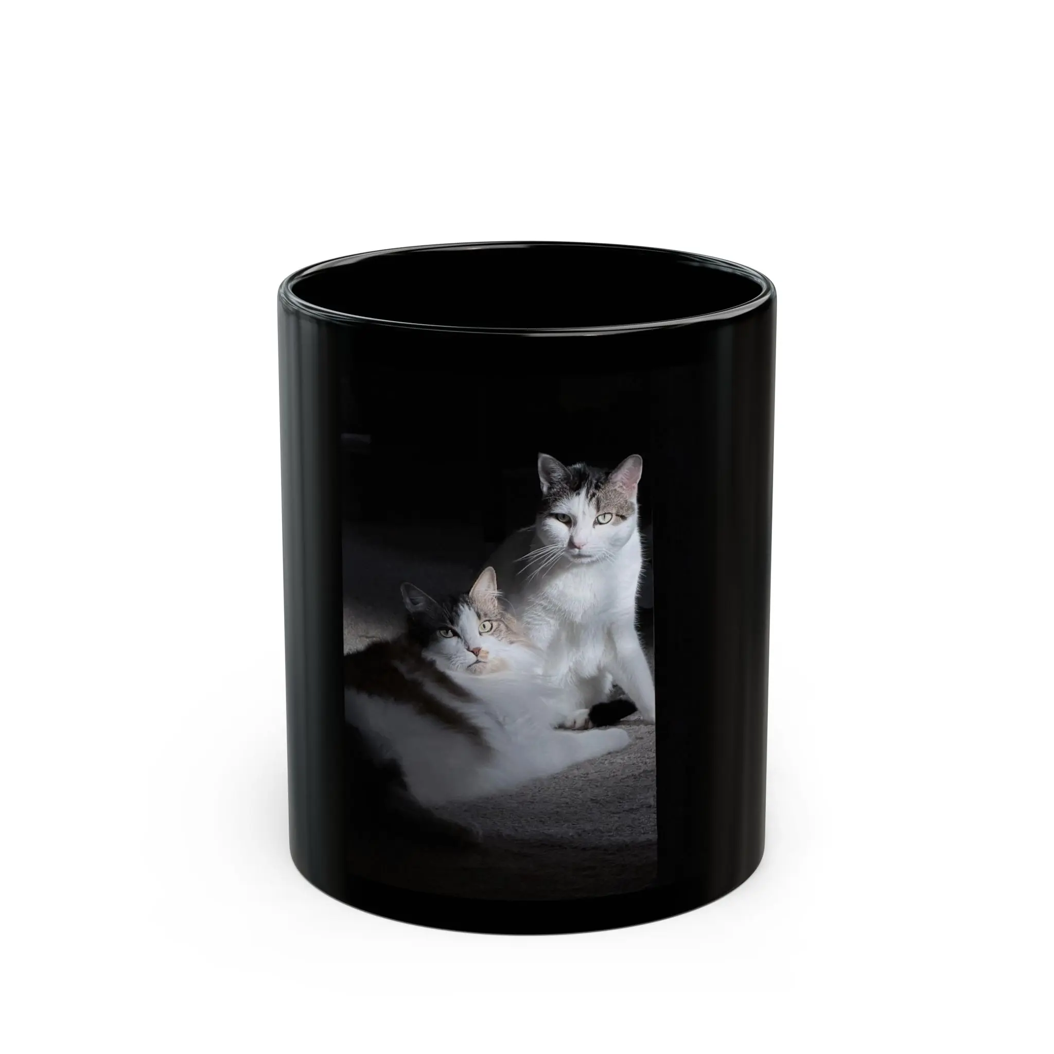 Calico Cats Photograph Mug | Black Ceramic Coffee Cup