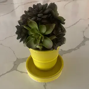 Yellow Garden Pot - Perfect for Indoor and Outdoor Use - Durable Ceramic Material - Ideal for Home Decor (plant not included)