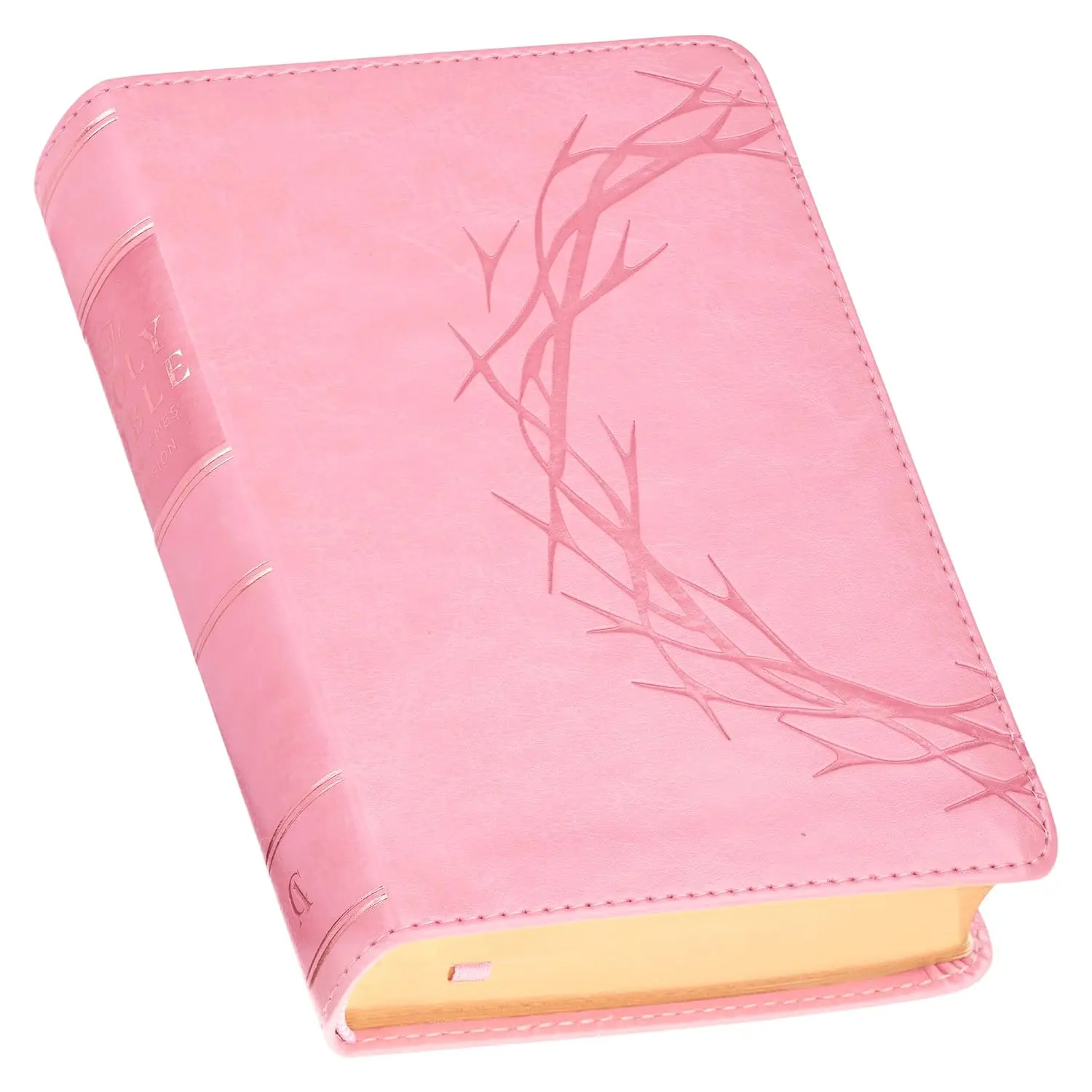 KJV Holy Bible, Compact Large Print Vegan Leather Red Letter Edition - Ribbon Marker, King James Version, Pink