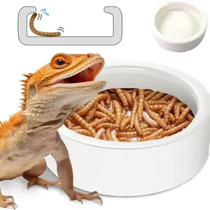Ceramic Reptile Food Bowl, 1 Count Anti-escape Design Pet Feeding Bowl, Smooth & Durable Design Pet Feeding Supplies for Lizard, Gecko, Cricket, Parrot, Frog