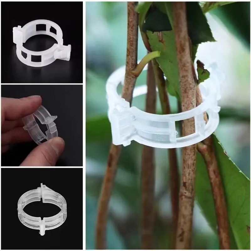 100pcs Plastic Plant Clips Supports Connects Reusable Protection Grafting Fixing Tool Gardening Supplies for Vegetable Tomato Plant Holders