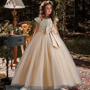 Embroidery Dress for Kids Girls Vintage Birthday Party Formal Prom Gown Luxury Elegant Lace Princess Dress for Teenage Girls Pageant Dress