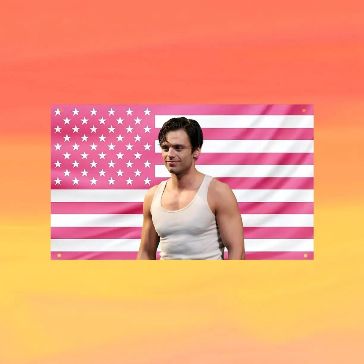Sebastian Stan Pink US Wall Tapestry Flag, Pink American Flag Wall Art, Actor Bedroom Decor