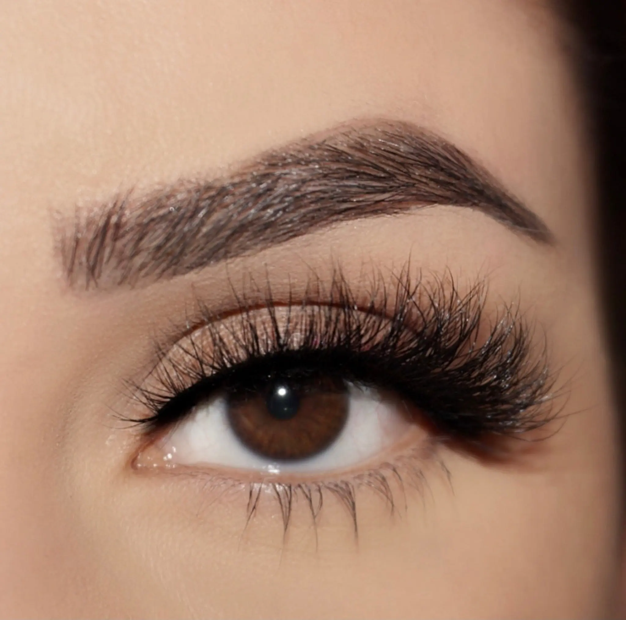 "Ariana Lash" 3D False Eyelashes,Cat Eye Effect, Reusable 20 Wears, Lightweight Lash, Luxury, 1 Pair of Strip Eyelashes (Glue Not Included)