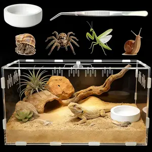 Reptile Terrarium, Tarantula Enclosure with Magnetic Door, Easy-Clean Reptile Tank for Spider, Insect, Gecko, Mantis, Frog, Snail, Isopods- ." X." X . "(Tweezer and Bowl Included)