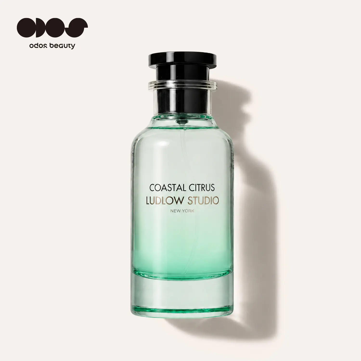 Ludlow Studio Coastal Citrus｜Citrus Fig & Apricot EDP 25% Concentration｜Unisex Aromatic Fruity Fragrance｜3.4 oz / 100ml｜Citron, Orange, Apricot, May Rose, Fig&Ambrette｜Inspired By Scent｜Signature Scent｜Christmas Gift｜long-lasting｜Luxury