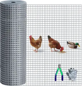 Hardware Cloth 48inx100ft 1/2 inch 19 Gauge Rust-Resistant Mesh Roll with Snips/Gloves for Chicken Coop/Vegetable/Garden/Plants/Poultry Enclosures/Tree/Gutter Guards