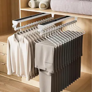 2 Pack Pull Out Closet Valet Rod, Heavy Duty Adjustable Closet Rod, 13.7inch Telescopic Pant Rack, Space Aluminum Clothes Hanger Rail, Closet Storage Organizer for Trousers Clothes White