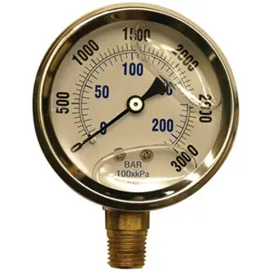 Apache 99019109 2.5 in. Stainless Steel- Glycerin Pressure Gauge