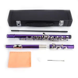 Cupronickel C 16 Closed Holes Concert Band Flute Purple Kit with Cool Musical Gifts for Festivals or Birthdays Beginners Adults Teens electric beginner kit classical beautiful Bb Clarinet with Nickel Plating Flat Set Mouthpieces Student Nickel-Plated
