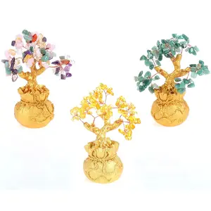 Season Of Abundance Bonsai Money Tree