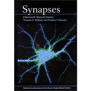 Synapses - Natural Sciences Book for Science & Technology Enthusiasts