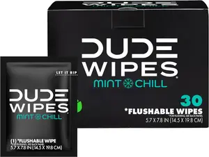 DUDE Wipes - On-The-Go Flushable Wipes Pack of 30, Mint Chill XL Individually Wrapped Adult Wipes with Eucalyptus & Tea Tree Oil, Septic, Sewer Safe