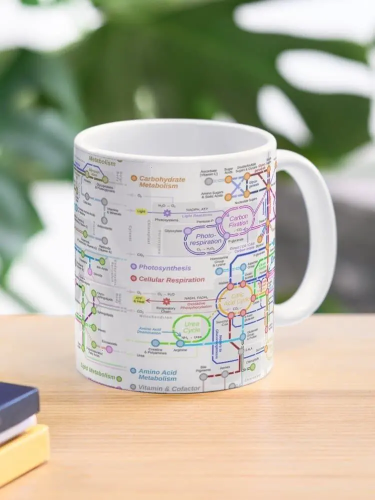 Metabolic pathway Coffee Mug