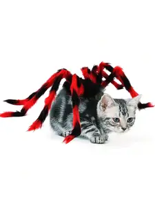 Pet chest back spoof creative cat dog small dog spider costume