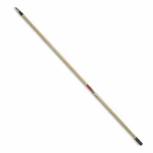 RidgePro EXT816-G 16' Extension Pole