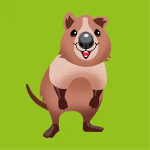 - QUOKKA - shop logo