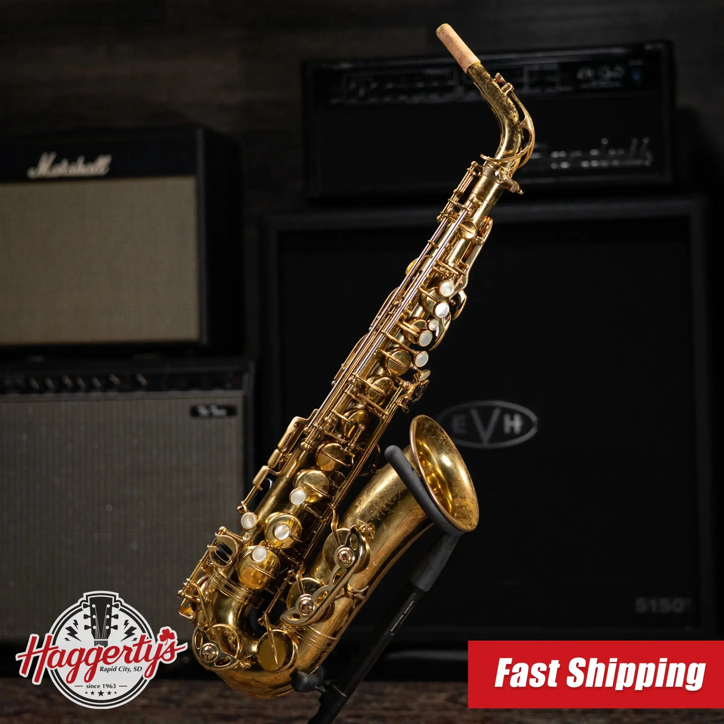 Selmer Mark VI Alto Saxophone with Hardshell Case - Used