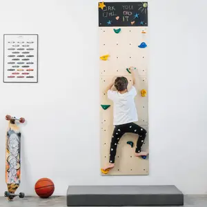 Indoor Rock Climbing Wall for Kids