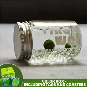 Soothing Marimo Moss Ball Vibe Bottle - A Self-Sustaining Desk Ecosystem for Positive Energy & Focus, Your Mini Low-Maintenance Habitat for Low-Light Spaces (Includes LIVELY Moss Ball Pet)