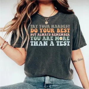 Teacher Shirts, State Testing Shirt, You Are More Than A Test, Teacher T-Shirt, Teacher Tee, Teacher Testing Tee, Teacher Team Matching