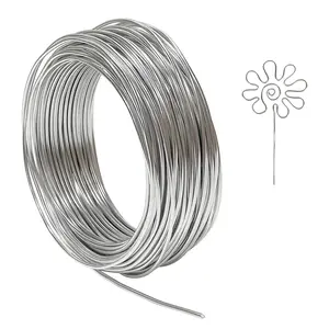 Tenn Well 12 Gauge Aluminum Wire, 100 Feet 2mm Bendable Metal Craft Wire for Sculpting, Armature, Jewelry Making, Floral Making, Doll Making, Modelling, Crafting, Bonsai Training