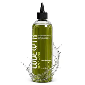 Lode WTR Scalp Water 12oz - pH-Balanced Scalp Detox Rinse | Removes Buildup & Flakes Without Stripping | Fragrance-Free Aloe Vera & Peppermint