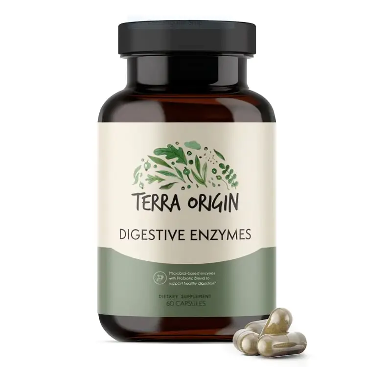 Terra Origin Digestive Enzymes with Probiotics & Prebiotics | 60 Vegan Capsules | Supports Gut Health Nutrient Absorption & Immune Balance | for Comfortable Digestion Reduced Bloating & Gas Relief for Women & Men | Gluten-Free, Non-GMO, Made in USA