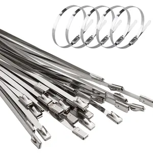Stainless Steel Tie Wrap, 100pcs Stainless Steel Tie Wrap, Weather Resistant, UV Resistant, Corrosion Resistant, Outdoor, Suitable for Extremely Harsh Environment
