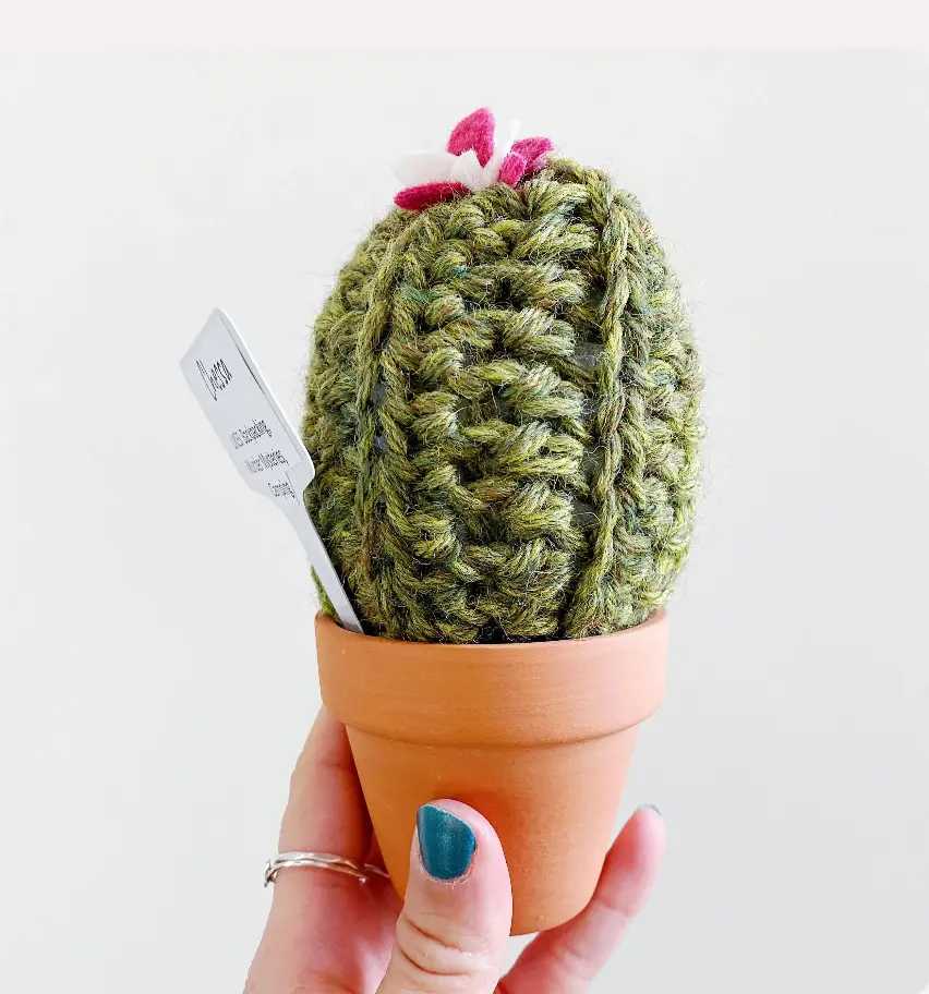 Cozy Crochet Cactus - Islay's Terrace - Handknit Succulent in a Pot - Unique Gift for Friends, Housewarming, Housewares