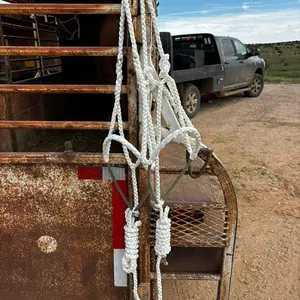Braided mule tape halter with rope nose band for horse