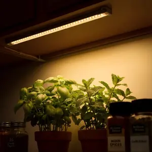 Plant Light Strip & Grow Lights for Indoor Plants, Grow Light for Seedlings, LED Full Spectrum Growing Lamp with 3/9/12H Auto Timer, 10-Level Dimmer, Dimmable for Seed Starting, Germination, Flowers - Ideal for Indoor Green House Use