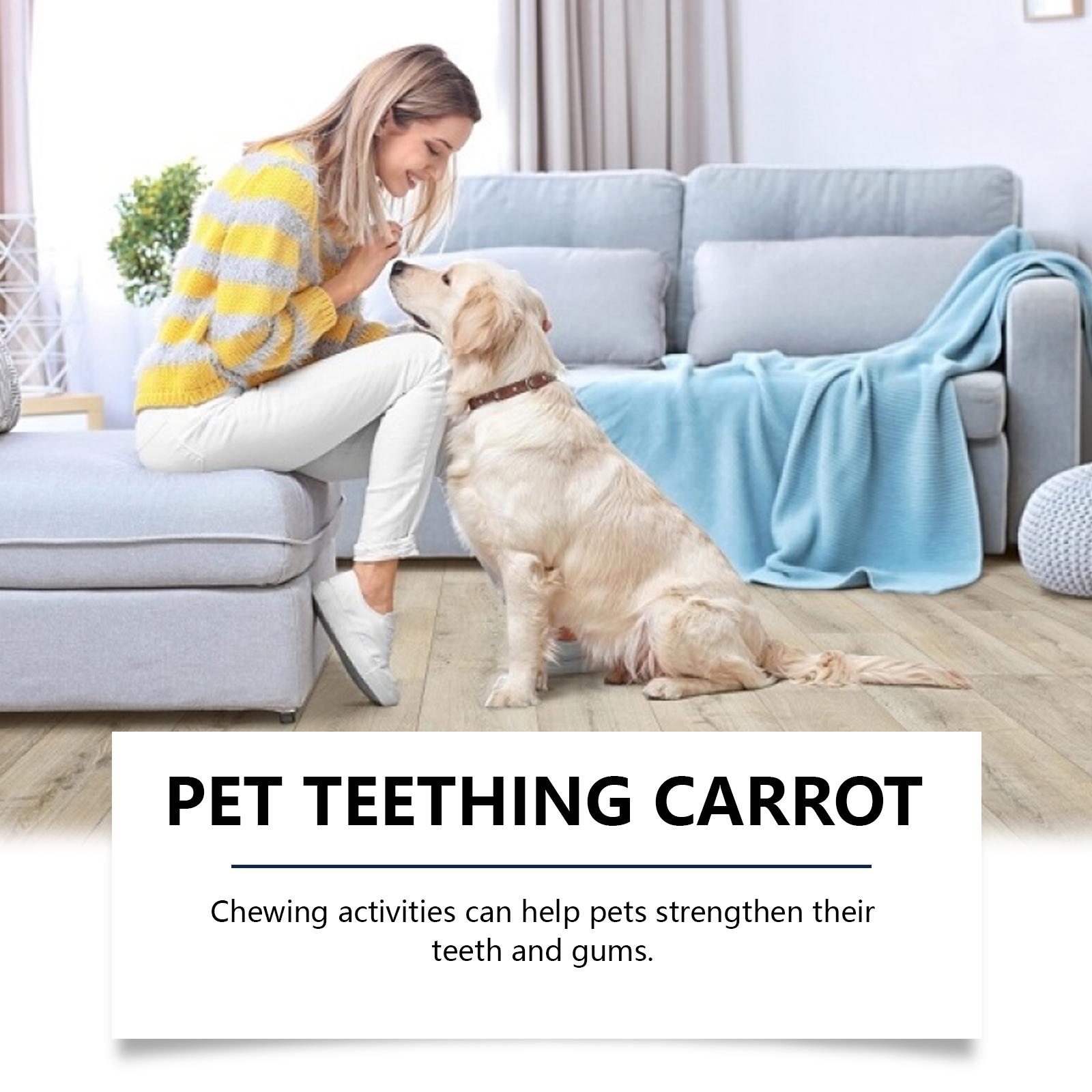 2-Pack EelJoy Pet Teething Carrots Cute Chewable Teethers for Dental Care and Bite Prevention