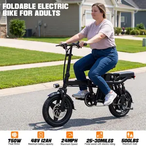 JX Heavy-Duty Foldable Electric Bike for Adults with 8 Shock Suspension, 500+ lbs Capacity, 740W Motor, 24MPH, 20-Mile Range, 14“ Fat Tires Commuter Bicycle for Road & Mountain Riding sport and outdoor