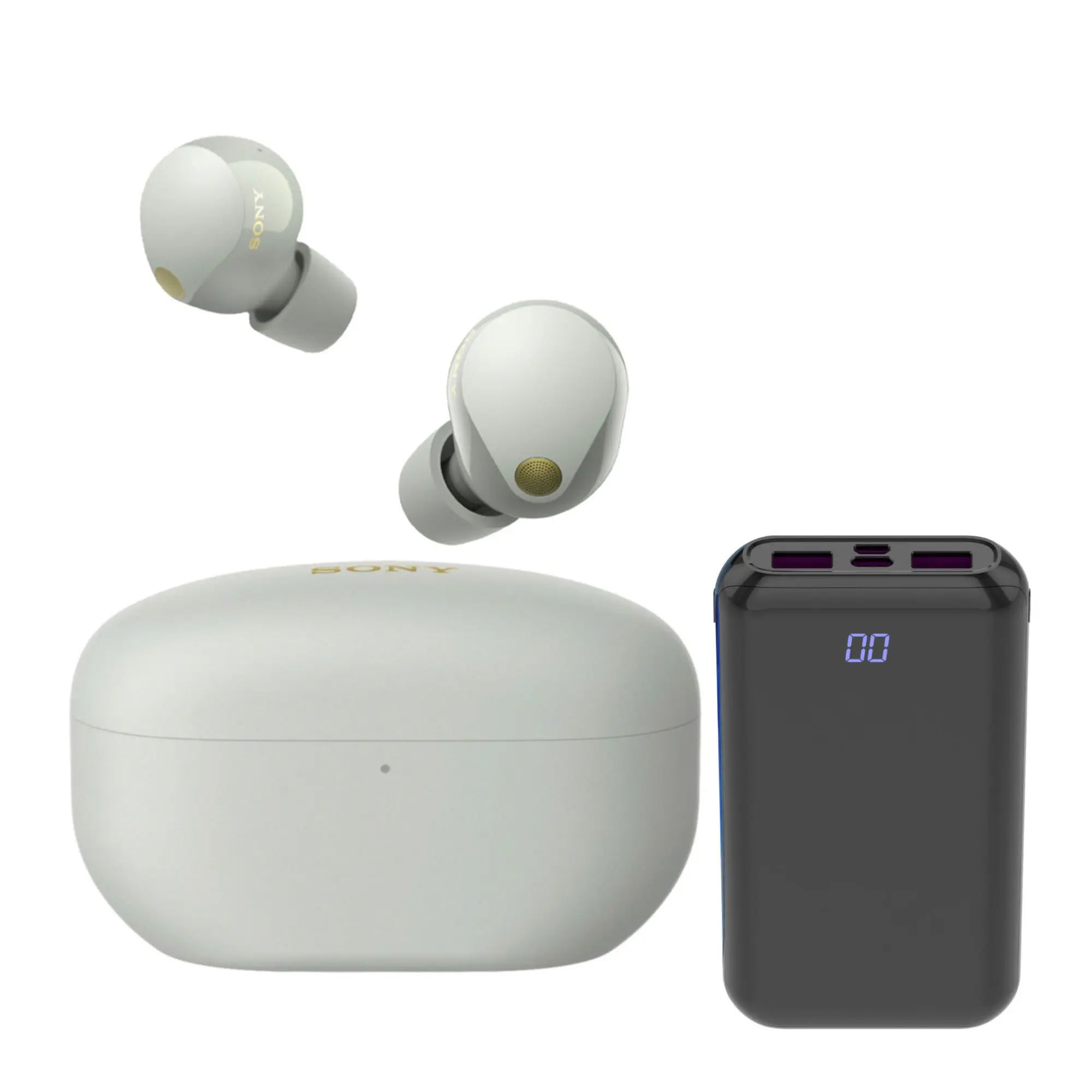 WF-1000XM5 Truly Wireless Noise Canceling Earbuds (Silver) with Earbuds Accessory for Sony