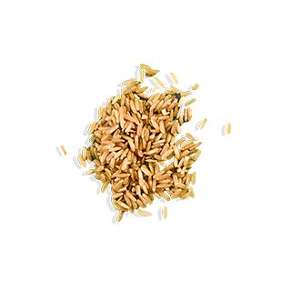 ALOHA Chocolate Caramel Pecan Protein Bar | 12 Bars | 14g Plant Protein, 5g Sugar | Certified USDA Organic, Vegan, Gluten-Free | Dark Chocolate + Caramel + Real Pecan Pieces