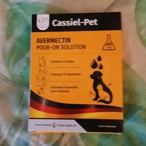 review image 4