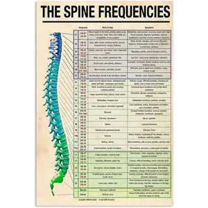 Human Body'S Weak Points To Target Medical Spine Frequencies Knowledge Metal Sign Medical Human Anatomy Quick Guide For Hospital Office Clinic Decor 12x16 Inches