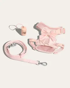 Wander! Bow Harness Kit Blossom - Gold