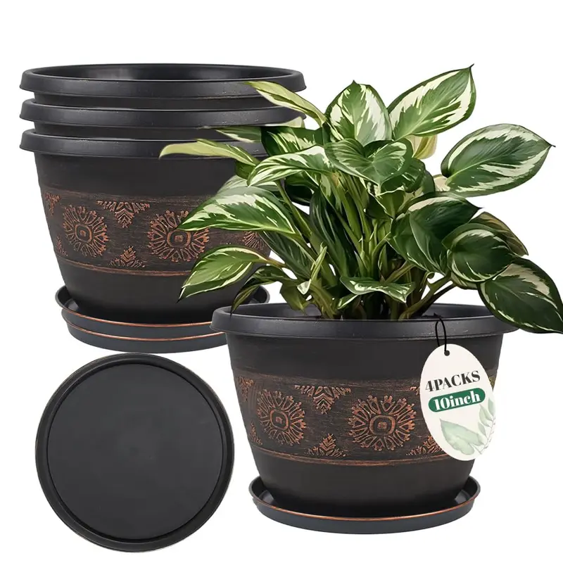 10 inch pot - TikTok Shop
