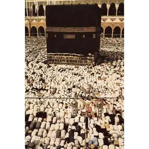 USED-The Qur'an: Arabic Text and English Translation (Paperback)