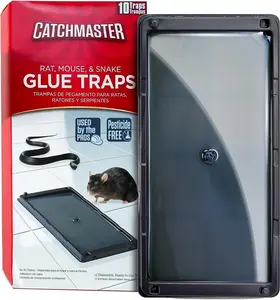 Catchmaster Glue Traps 10Pk for Rats Snakes and Mice Large Bulk Adhesive Trays for Home Pest Control Pesticide Free Ideal for House & Garage