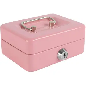 Locking Steel Mini Cash Box with Removable Coin Tray and Key Lock for Kids, 4.92" x 3.74" x 2.36",Pink Decor Gift