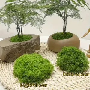 Artificial Moss Lawn Decoration, 60/100/200g, Bonsai & Micro Landscape, Christmas & St Patrick's Day Decor, Spring Aesthetic Home Decor, Artificial Fern Plant