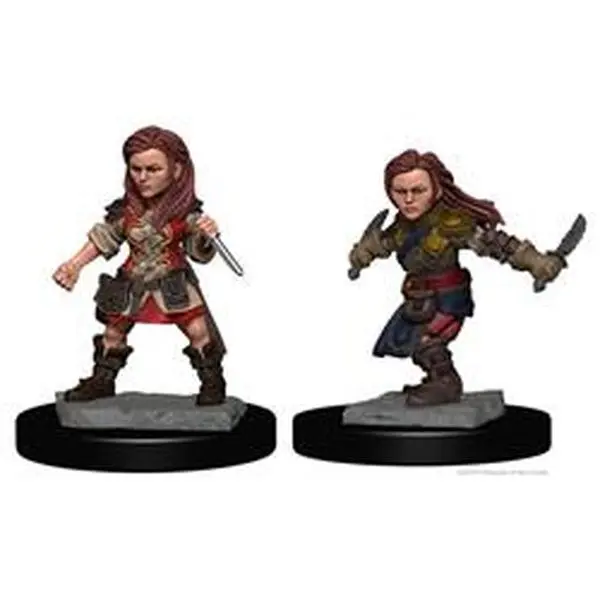 212 MAIN Dungeons & Dragons Nolzurs Marvelous Unpainted Halfling Female Rogue W1 Tabletop Game Rogue Figure Statue