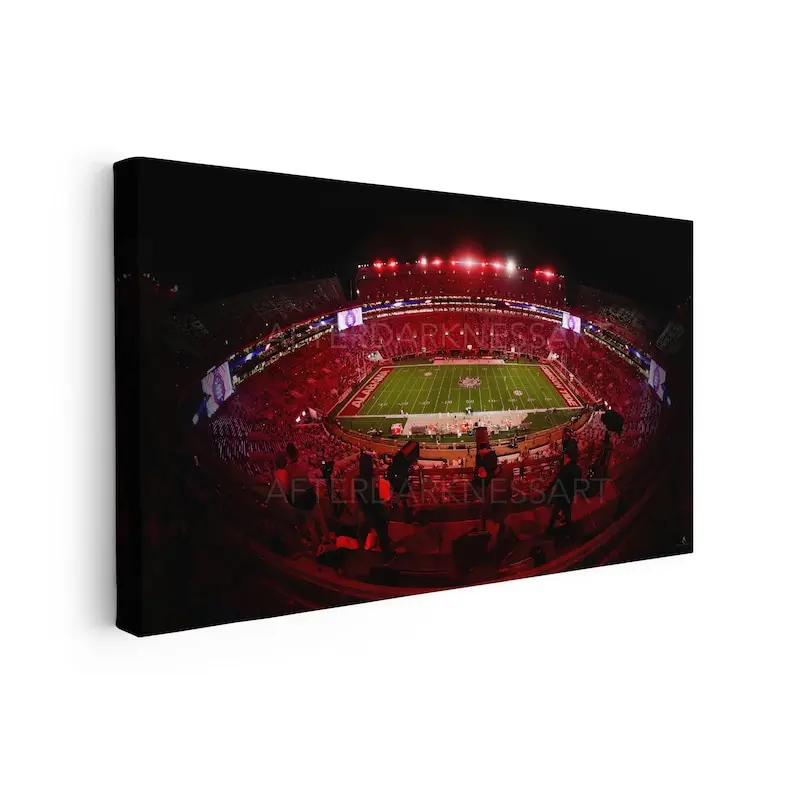 Alabama Crimson Tide "Crimson Shadows" Bryant Denny Stadium | Football Field | College | After Darkness Art