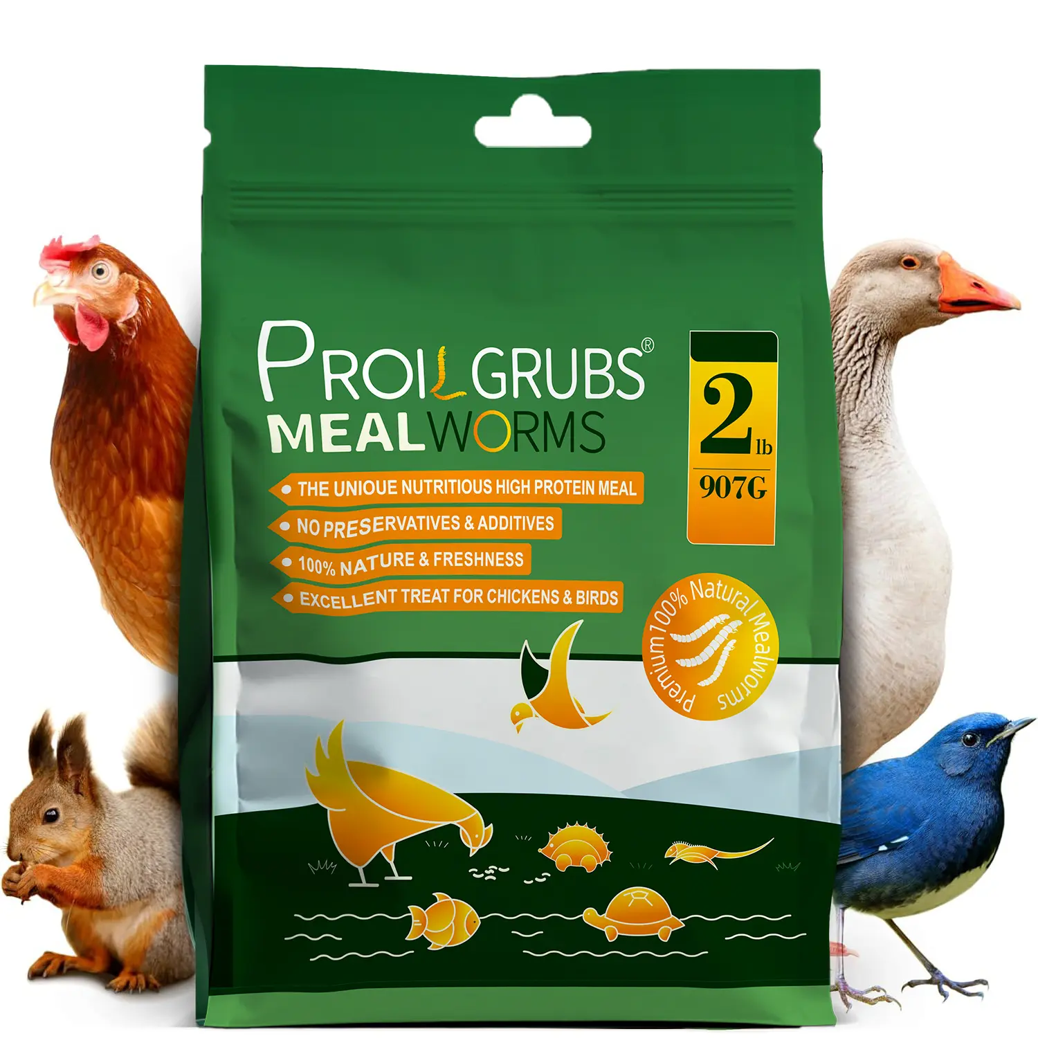 PROILGRUBS 2 lbs Dried Mealworms High Protein Feed for Chickens, Ducks, Fish & Turtles - Organic, No Preservatives & Additives#SummerVibes #petlovers Dry Food Poultry Supplement Natural food