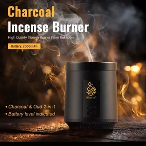 Electric incense and charcoal burner