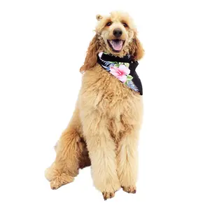 Pet Bandana in Hibiscus Black